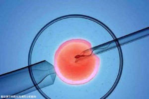 好孕故事